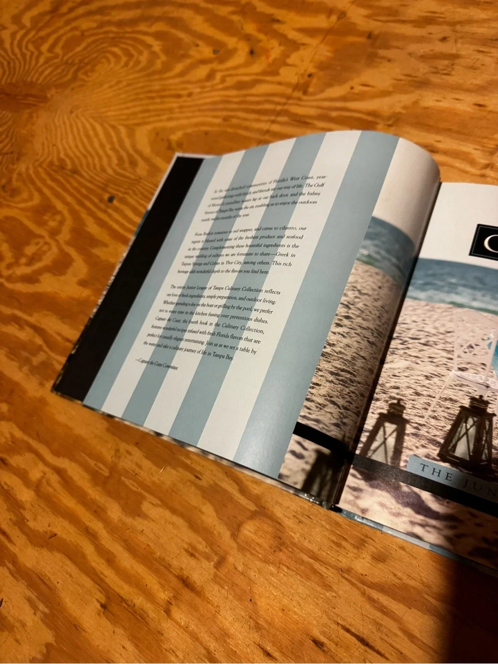 Capture the Coast Blue Decorative Coffee Table Book by